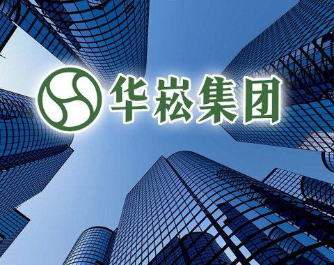 
													廣西華崧集團網站品牌設計